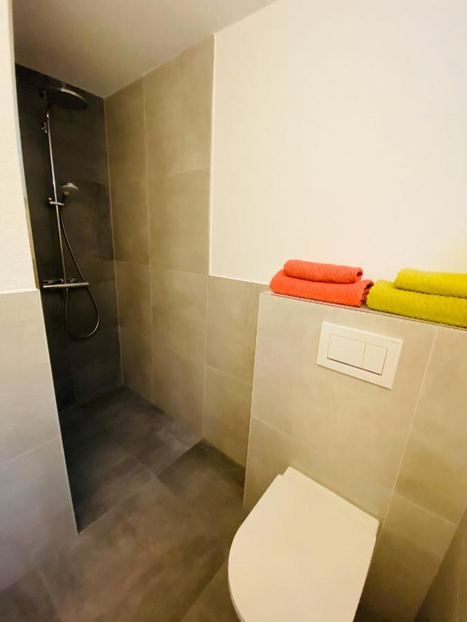 Apartment Regener Lörrach Extérieur photo